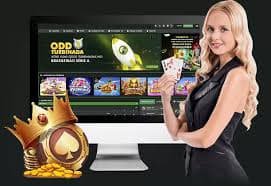 poinbet Streamed card dealing